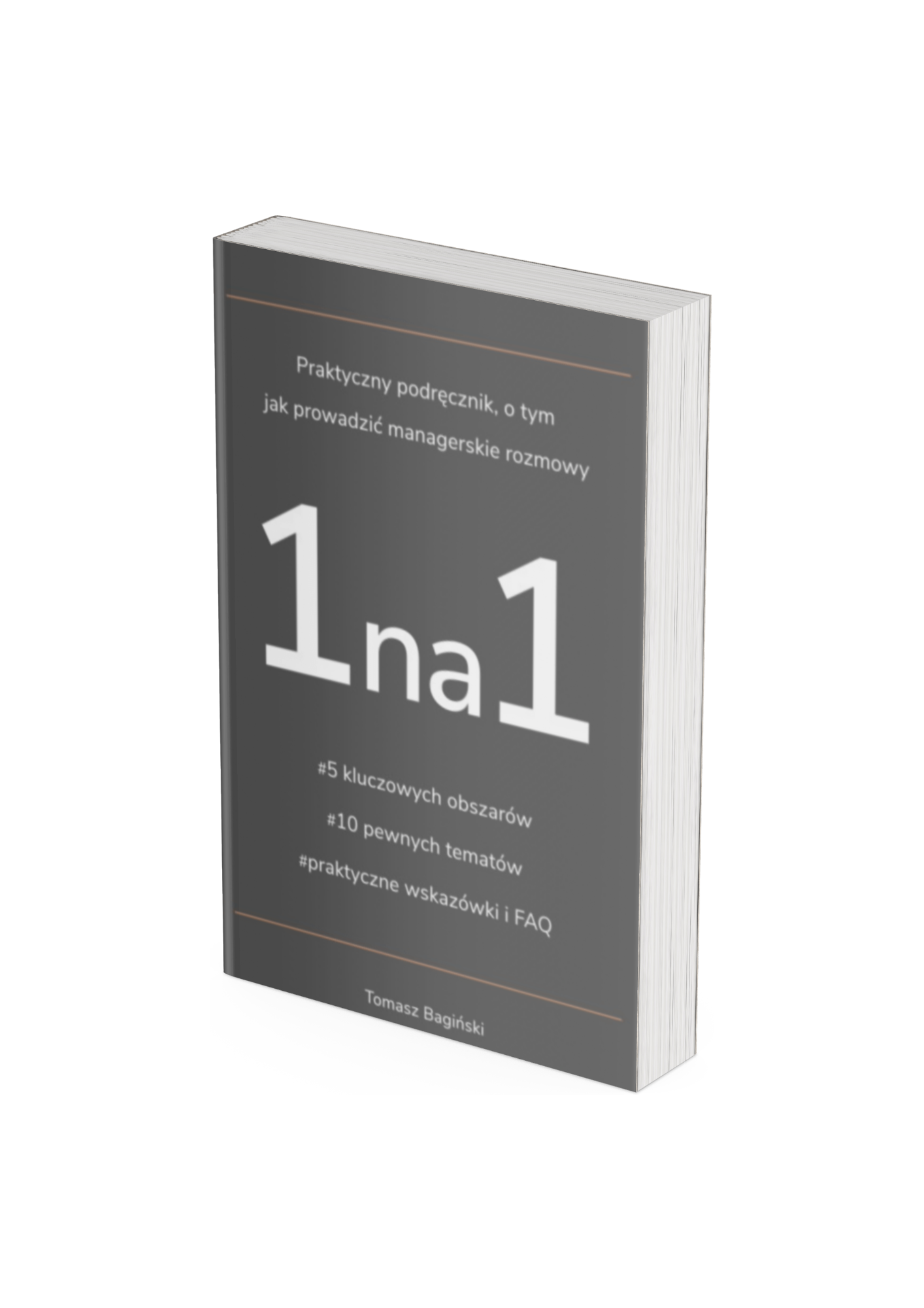 1na1 – praktyczny podręcznik, o tym jak prowadzić managerskie rozmowy